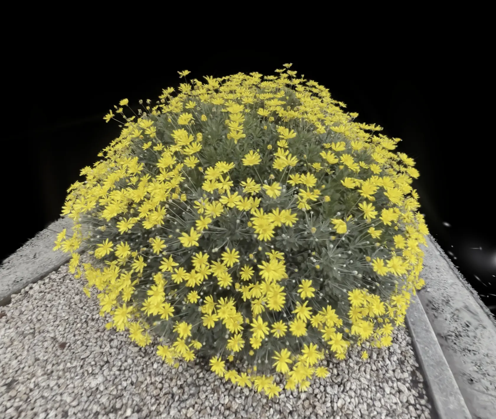 Transition Image